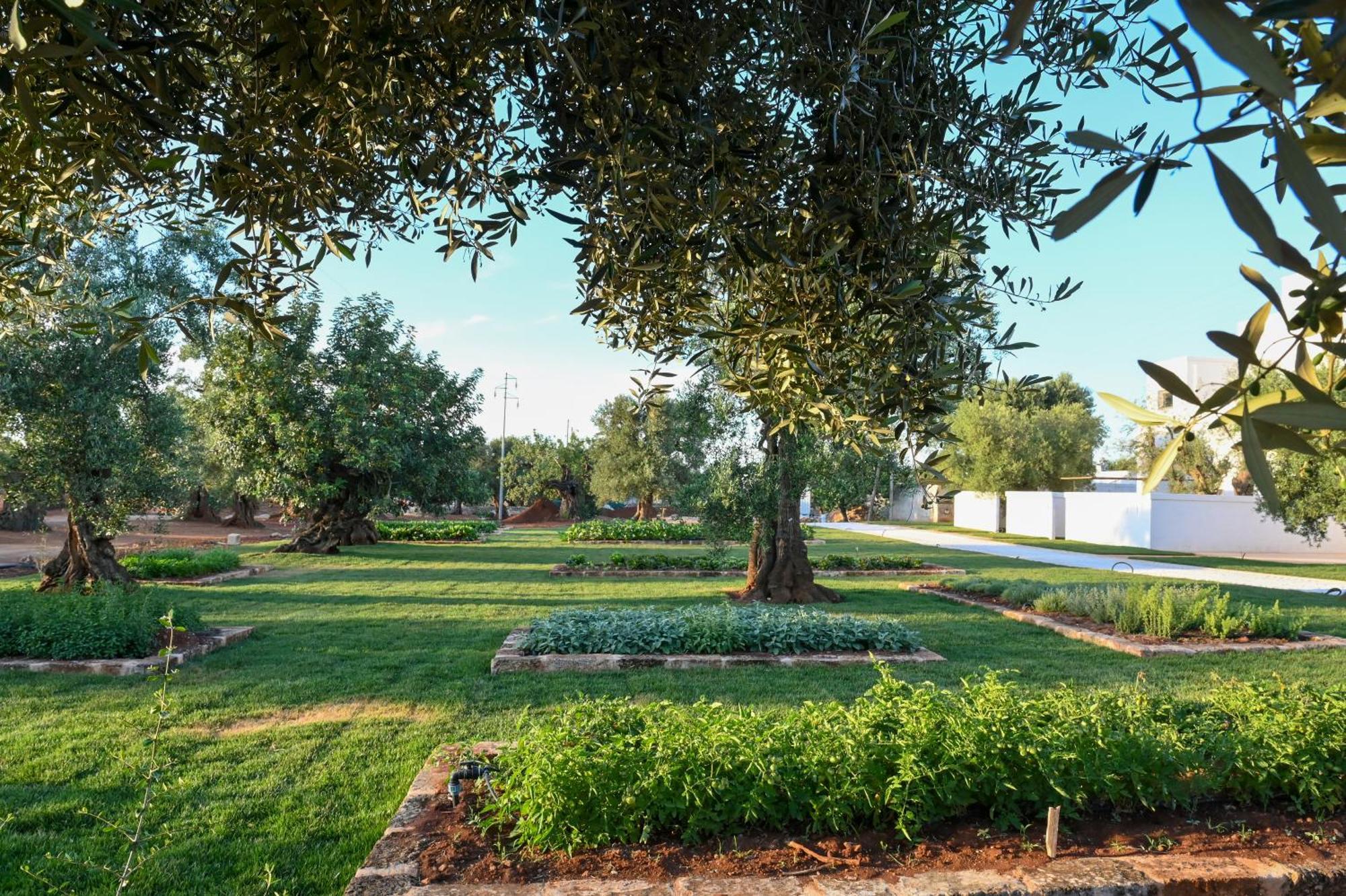 Masseria San Lorenzo Resort Fasano Extérieur photo